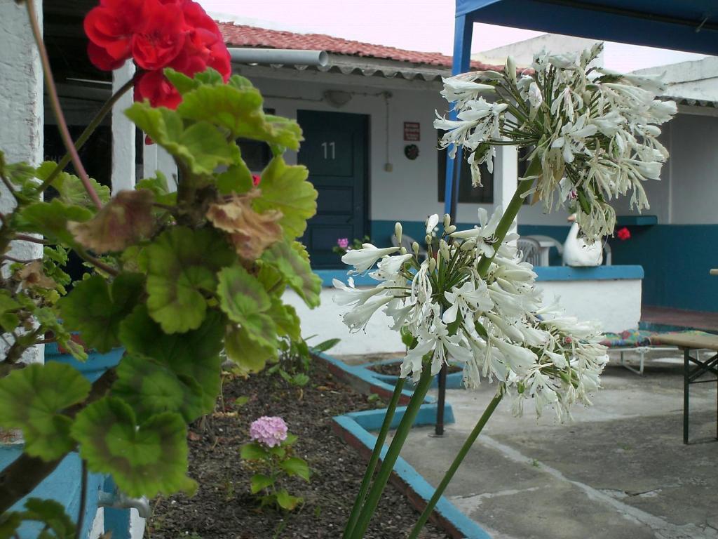 Hotel Hospedagem Chave D'Ouro Nazaré Esterno foto